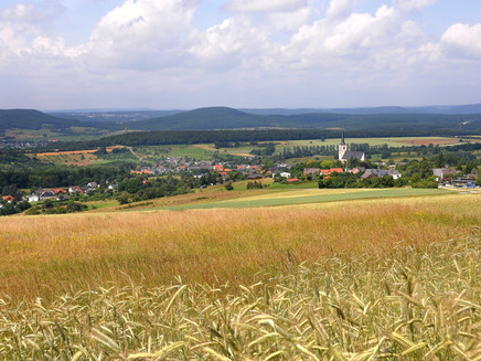 Felderlandschaft in der Mosel-Eifel